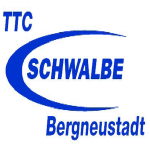 Logo- Bergneustadt